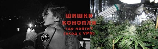 дживик Богданович
