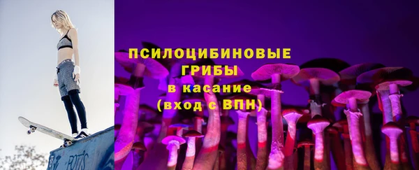 молекула духа Богородск
