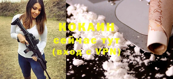 молекула духа Богородск