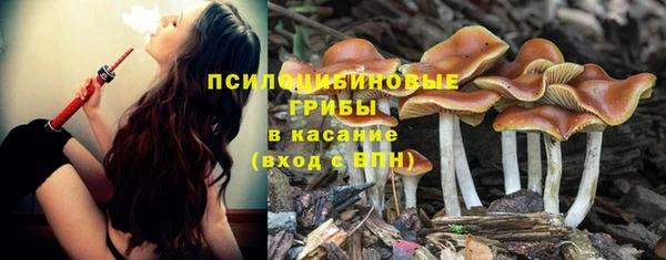 круглые Богородицк