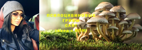 ECSTASY Беломорск