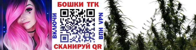 Бошки марихуана планчик Кирсанов